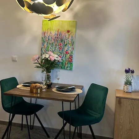 Stilvolles Nähe Messe Düsseldorf In Süd Apartment Duisburg