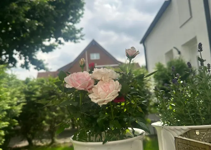 Stilvolles Naehe Messe Duesseldorf In Sued *